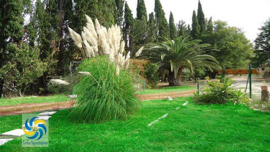 Others 5, Errika, Ionian Islands