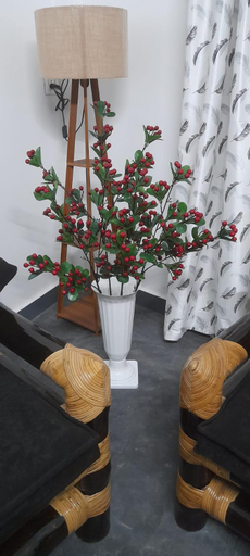 Others 3, Medajied Guest House, East Khasi Hills