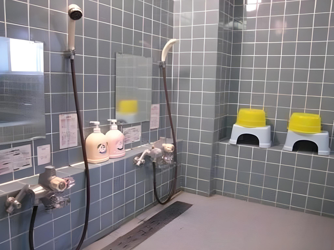 Bathroom 4, Fujiyoshi, Nozawaonsen
