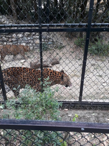 Others 3, Goroomgo Sai Sadan Cottage Near Lake View Nainital & Naina Devi Temple , Nainital