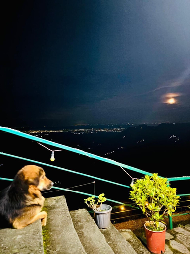 Others 5, Deodar Inn resort, Dehradun