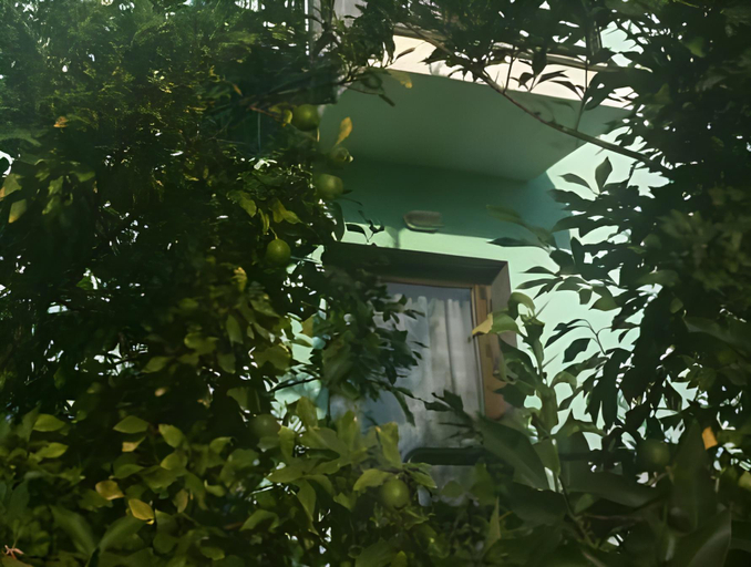 Others 5, Vlachogiannis Hotel, East Macedonia and Thrace