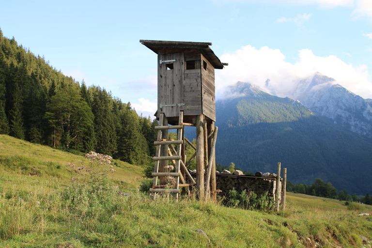 Others 2, Landhaus am Waldrand, Berchtesgadener Land