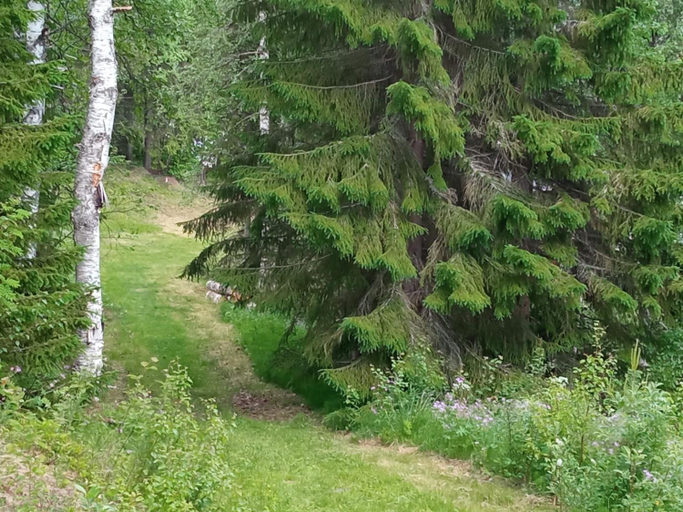 Others 5, Swedish Paradise Garden & Lake BED & BREAKFAST, Strömsund