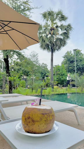 Food & Drinks 5, Mealy Villa, Siem Reap