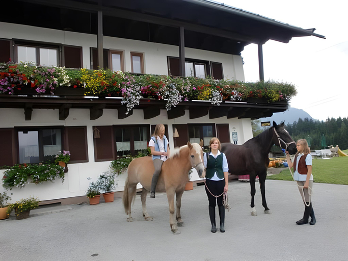 Others 3, Oberstockinghof, Zell am See