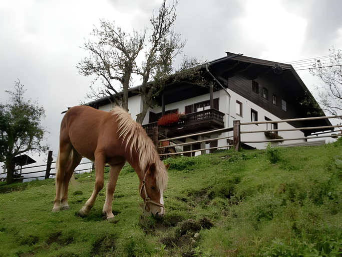 Others 5, Oberstockinghof, Zell am See