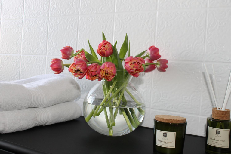 Boutique Wohnung mit Domblick, Paderborn