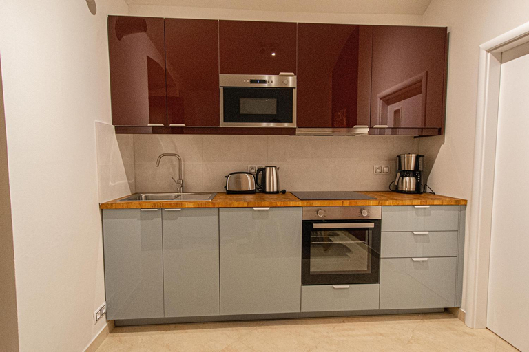 Others 5, Modern and Spacious Apartments in City Center, Praha 1