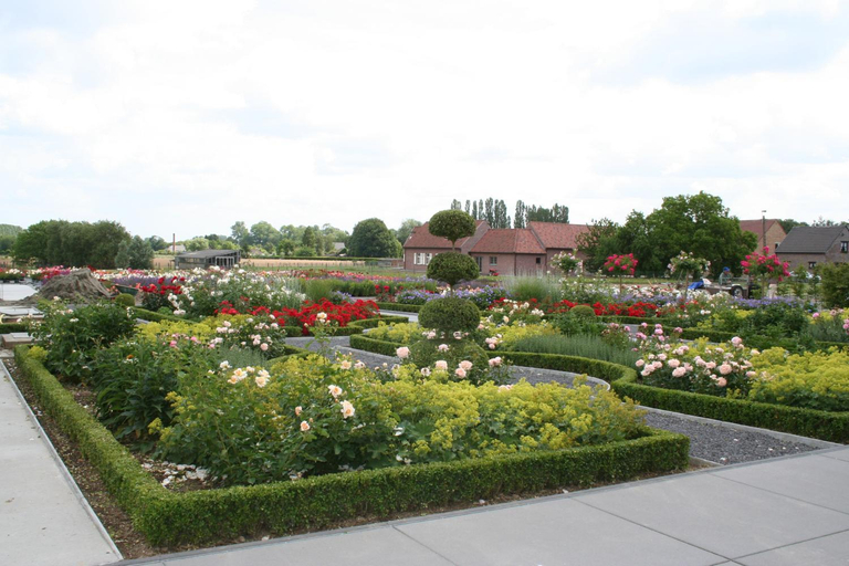 Others 2, B&B La Vie En Roses, Oost-Vlaanderen