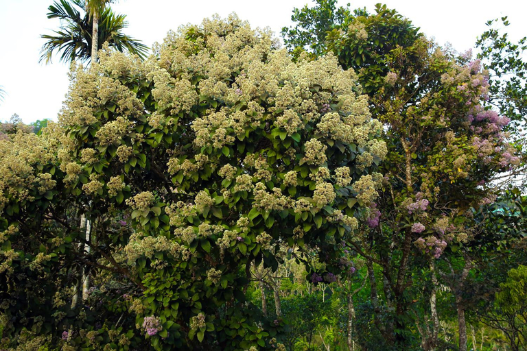 Scenery 15