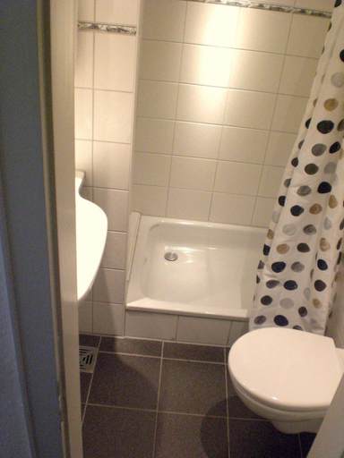 Bathroom 5, Hotel Litjes, Kleve
