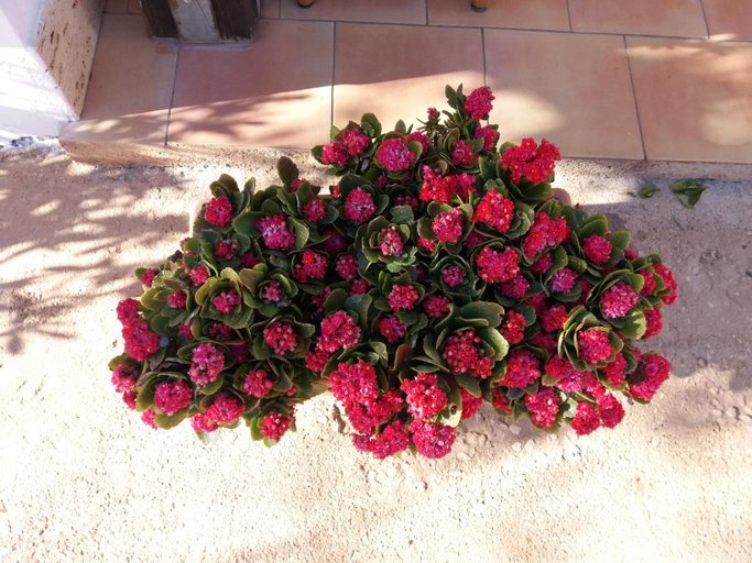 Others 2, B&B Maria Paola, Trapani