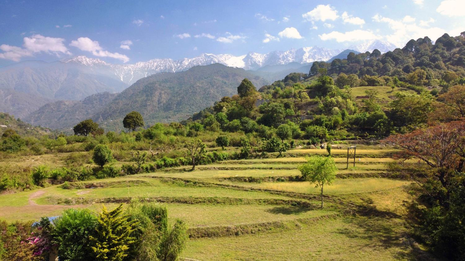 Others 3, Rendezvous Resort Dharamshala, Kangra