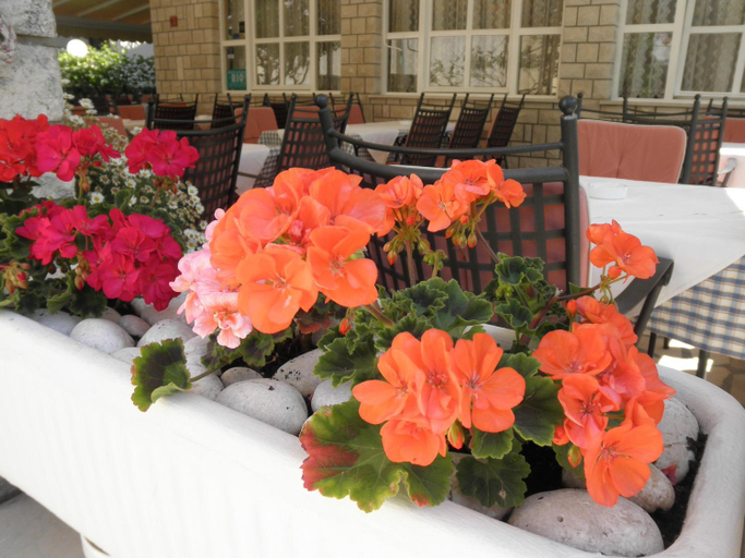 Food & Drinks, Bed & Breakfast Rab, Lopar/Supetarska Draga