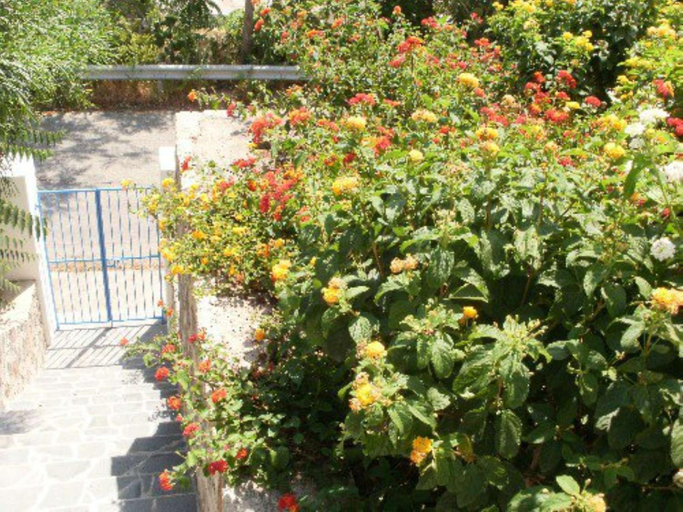 Others 4, Penelope & Calypso, Messina