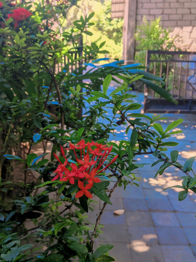 Sport & Beauty, Three V Homestay, Lombok