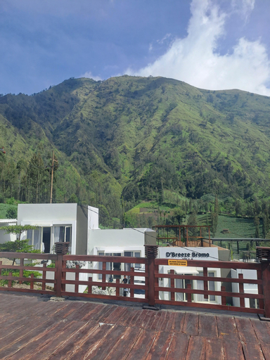 Scenery 13