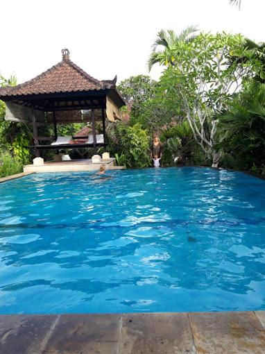 The Griya Harmoni Cozy 4BRV 15 mins to Ubud centre, Gianyar