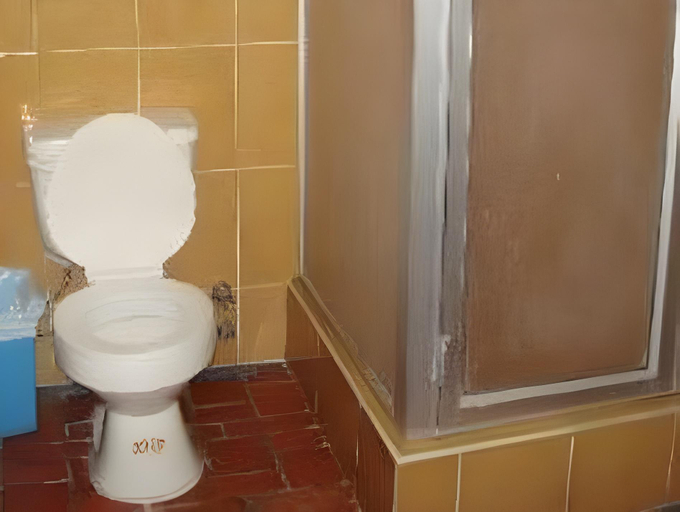 Bathroom 4, Hotel Savoy Inn, Quito