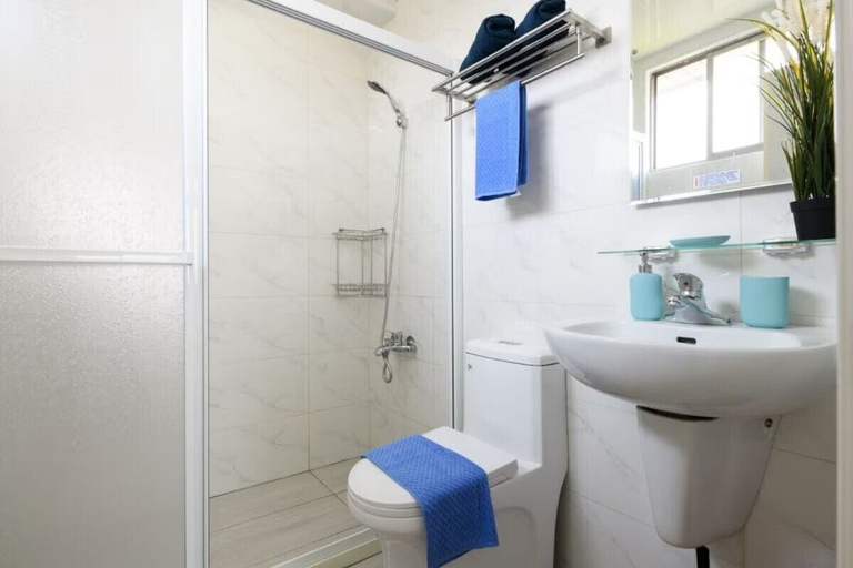 Bathroom 5, World Trade Center Station, Pak Kret
