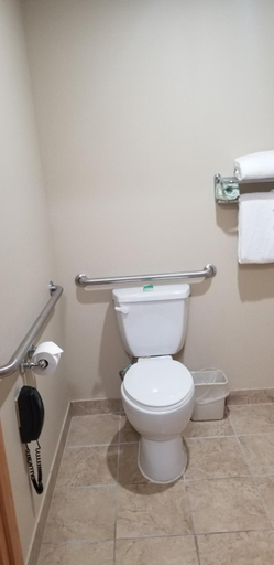Bathroom 4, Cobblestone Inn & Suites - Lake View, Sac
