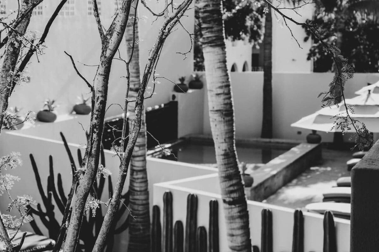 Others 5, 4 Charming Suite King Rooms in Luxurious Boutique Hotel, La Paz