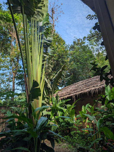 Others 3, Backyard Eco Bungalows Moshi, Moshi Urban