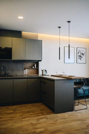 Others 3, Executive Apartments Taborska, Mladá Boleslav