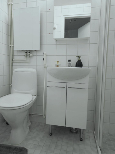 Bathroom, 1 bedroom apartment with city views, Pirkanmaa