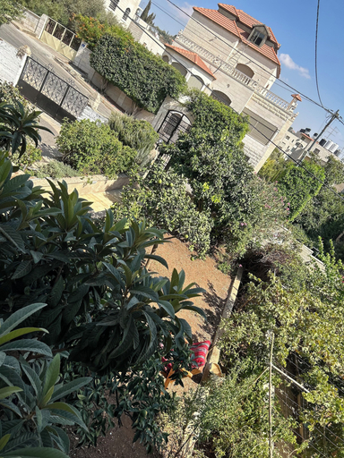 Exterior & Views 2, OliveTreeHostel, Ramallah and Al-Bireh