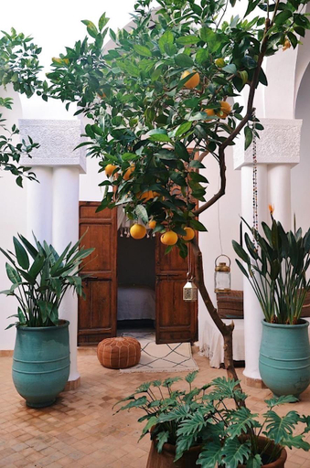 Others 1, NOSADE Venue, Marrakech