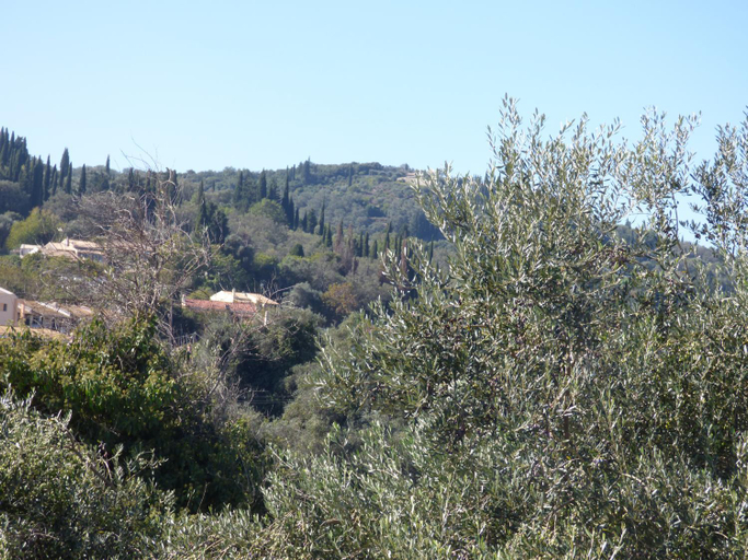 Others 2, GEORGES IPSOS APARTMENTS, Ionian Islands