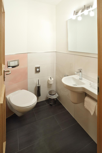 Bathroom 3, Schloß Schönberg, Vogtlandkreis