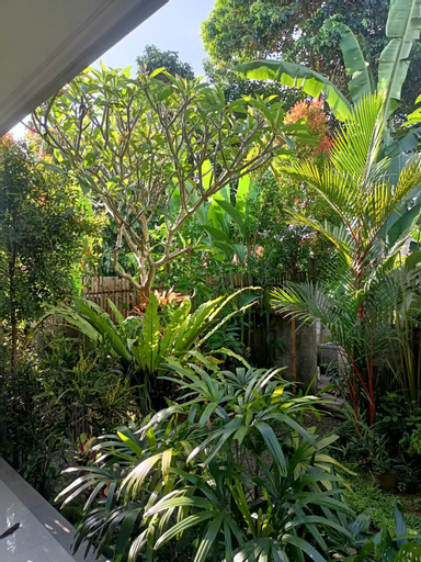 Scenery 12