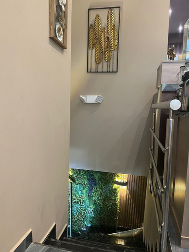 Others 3, ROYAL SUITES AMOLADOS, Galapa