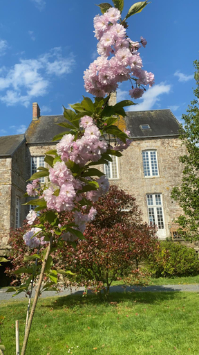 Others 5, Le Chateau de Claids, Manche