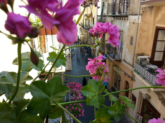 Others 3, B&B Del Corso, Palermo