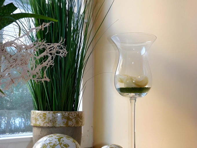 Food & Drinks 5, Gasthaus Zum Schlovüwirt, Neumarkt in der Oberpfalz
