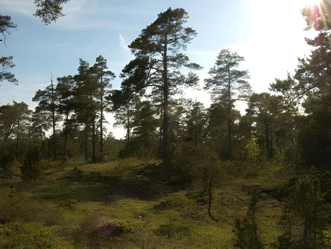 Others 2, Ljugarnsstugor, Gotland