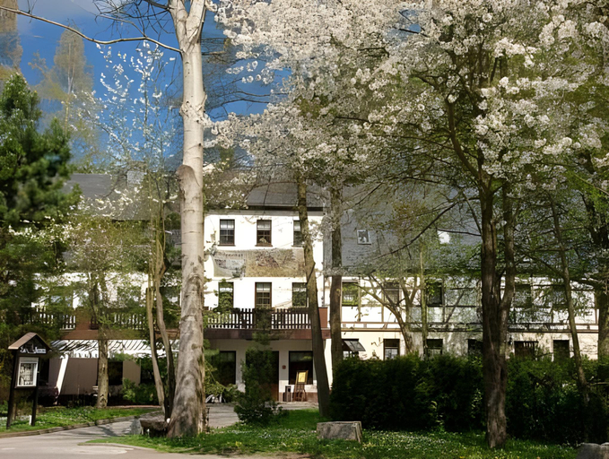Exterior & Views 2, Waldgasthof Hotel Am Sauwald, Erzgebirgskreis