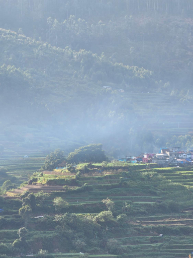 Scenery 9