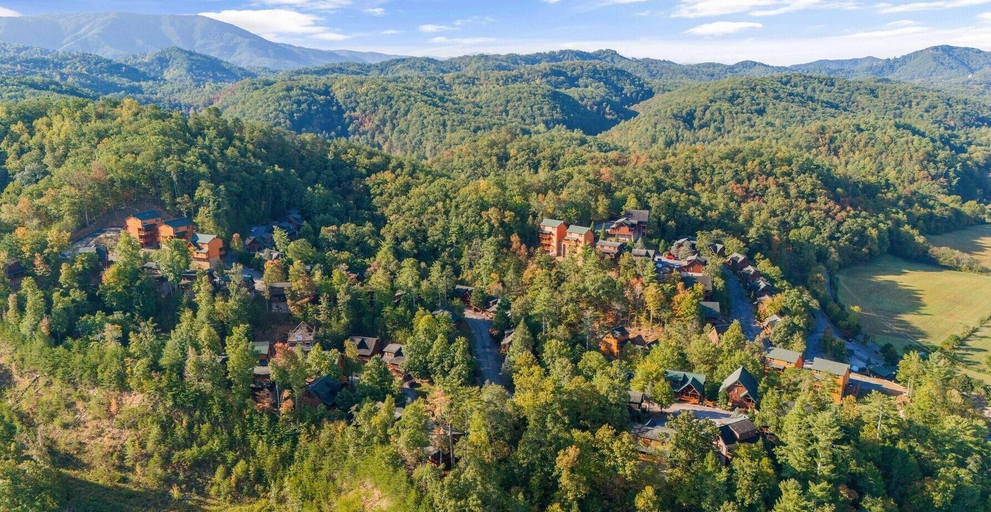 Others 5, Burch's Bear Splash 4 Bedroom Cabin, Sevier