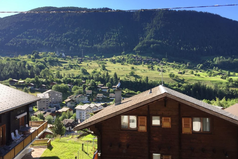 Exterior & Views 2, Chalet Castellani Duplex, Goms