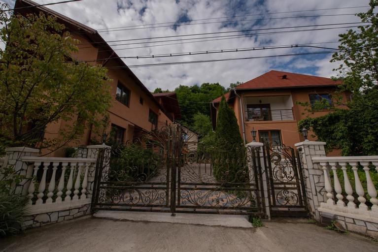 Others 4, Dupa apa la Razvan, Vadu Izei