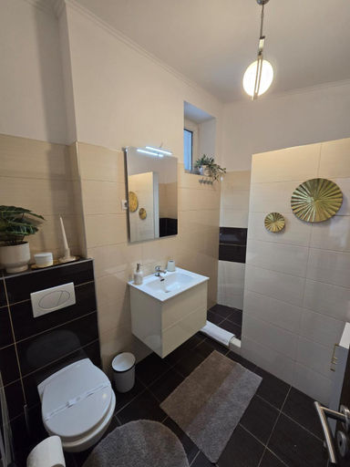 Bathroom 3, House of Dragons Apartments, Sighisoara