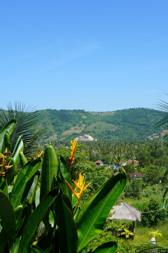 Scenery 1