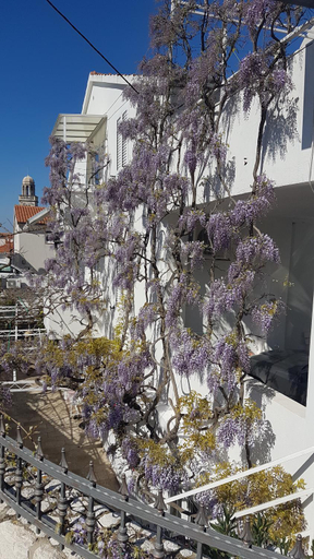 Others 4, Apartmani Surlin, Hvar