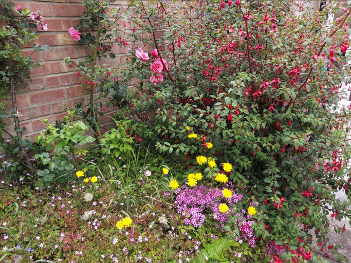 Others 4, Gorgeous Gorleston holiday home - walk to beach, Norfolk