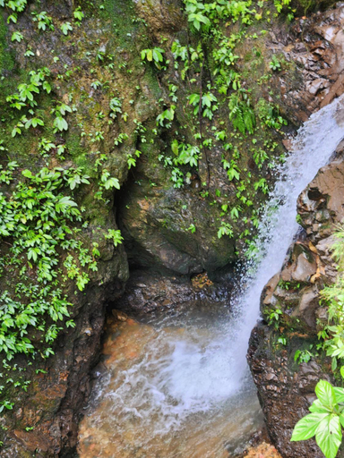 Scenery 19